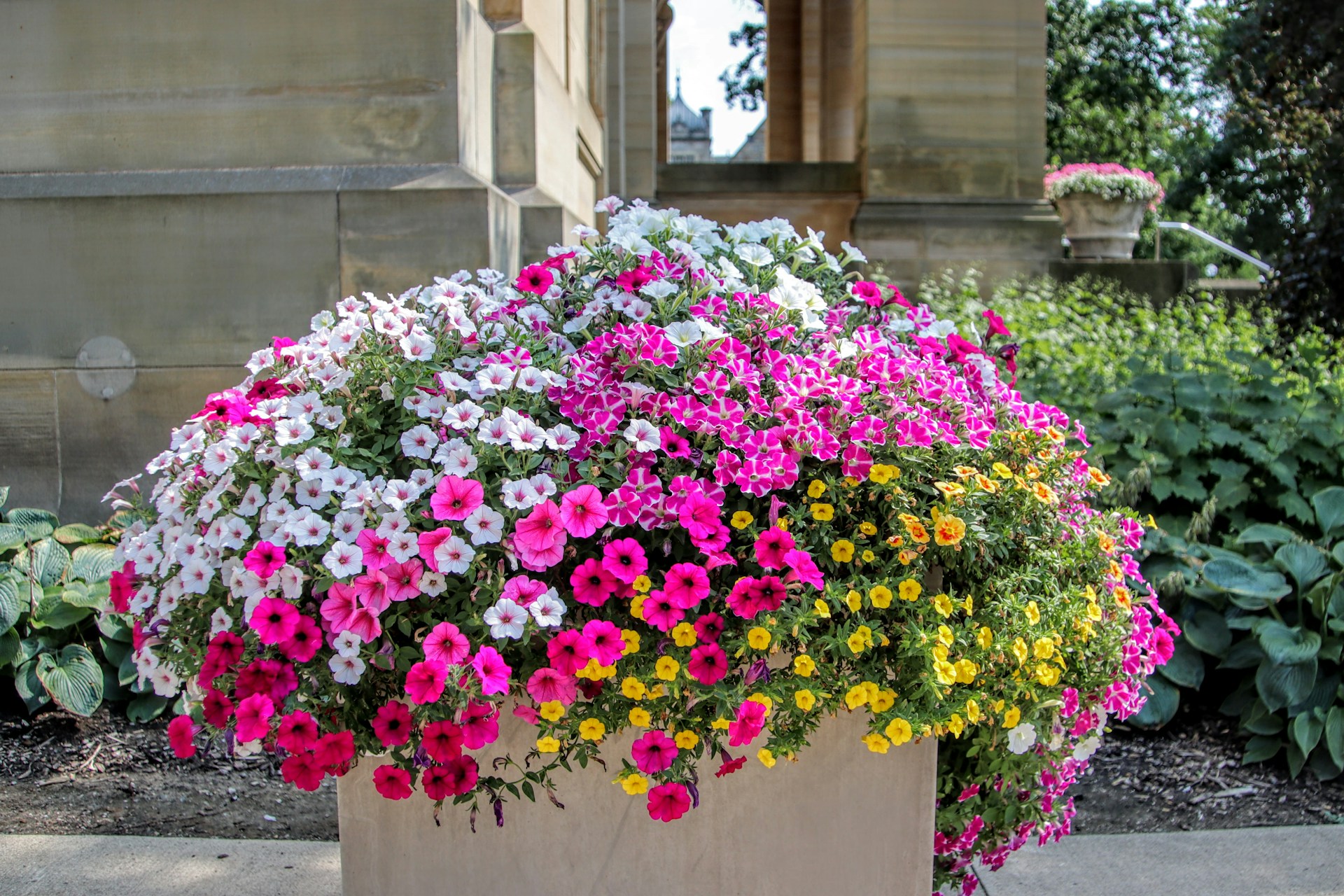 Vibrant flowers in a stone planter features pink, white, and yellow blooms.