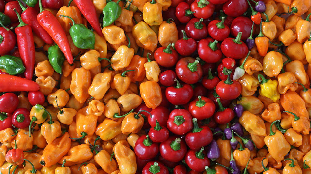 photo of colorful peppers