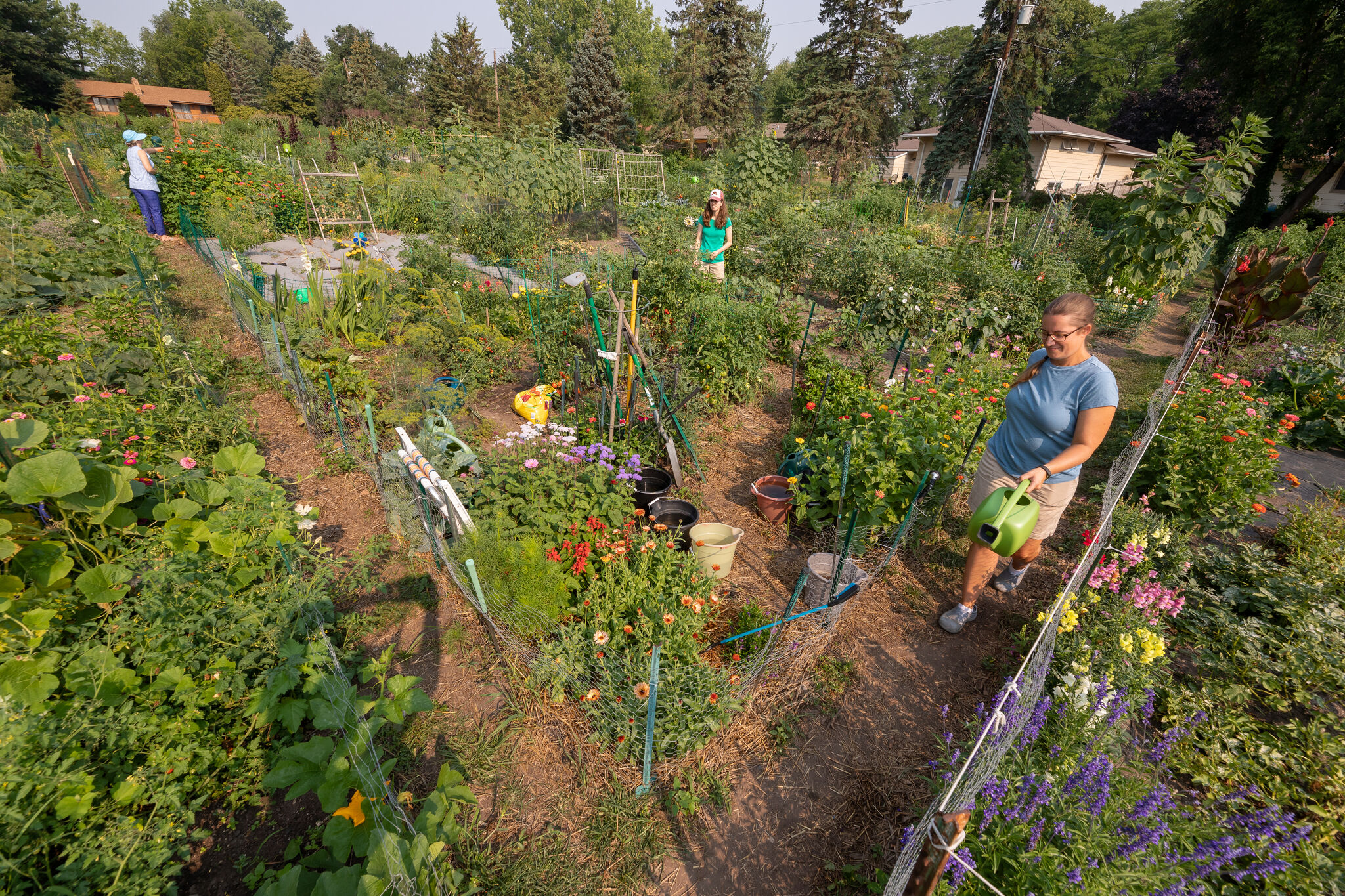 People walking in a community garden.