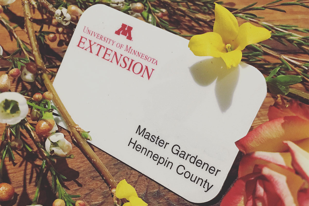 University of Minnesota Extension badge for Hennepin County Master Gardener